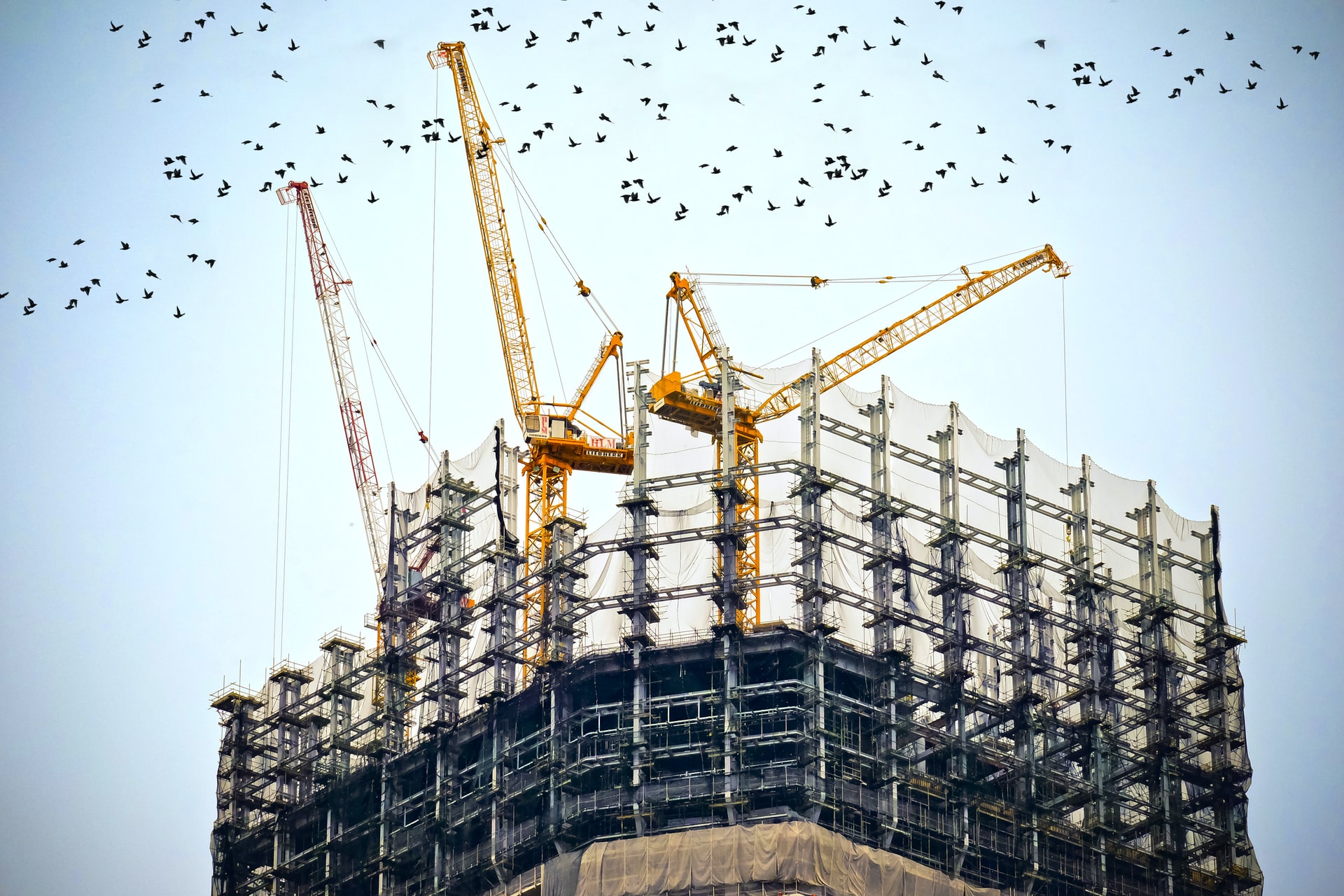 Operation & Maintenance Services
